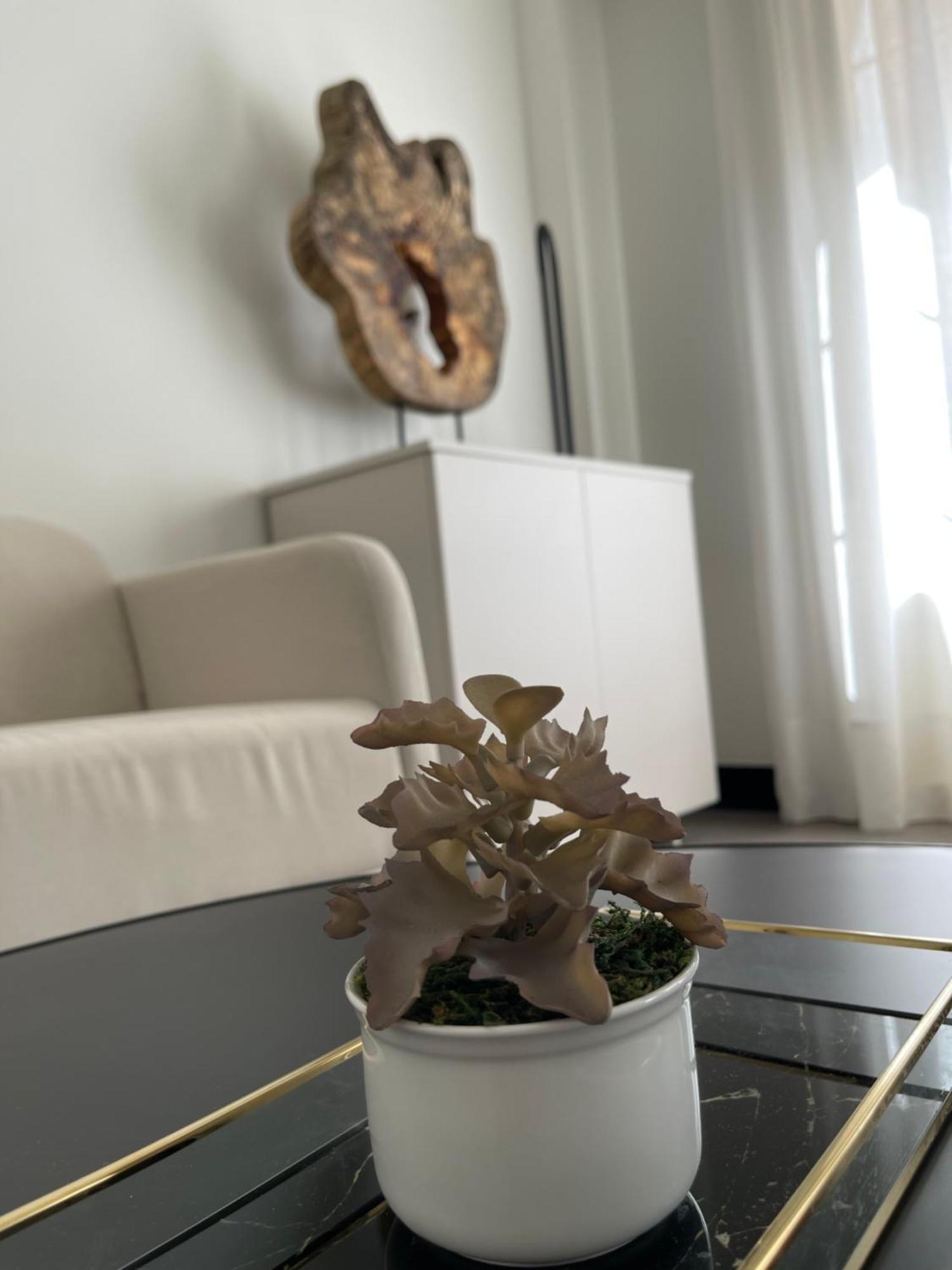 Apartment Picasso Centre 1d